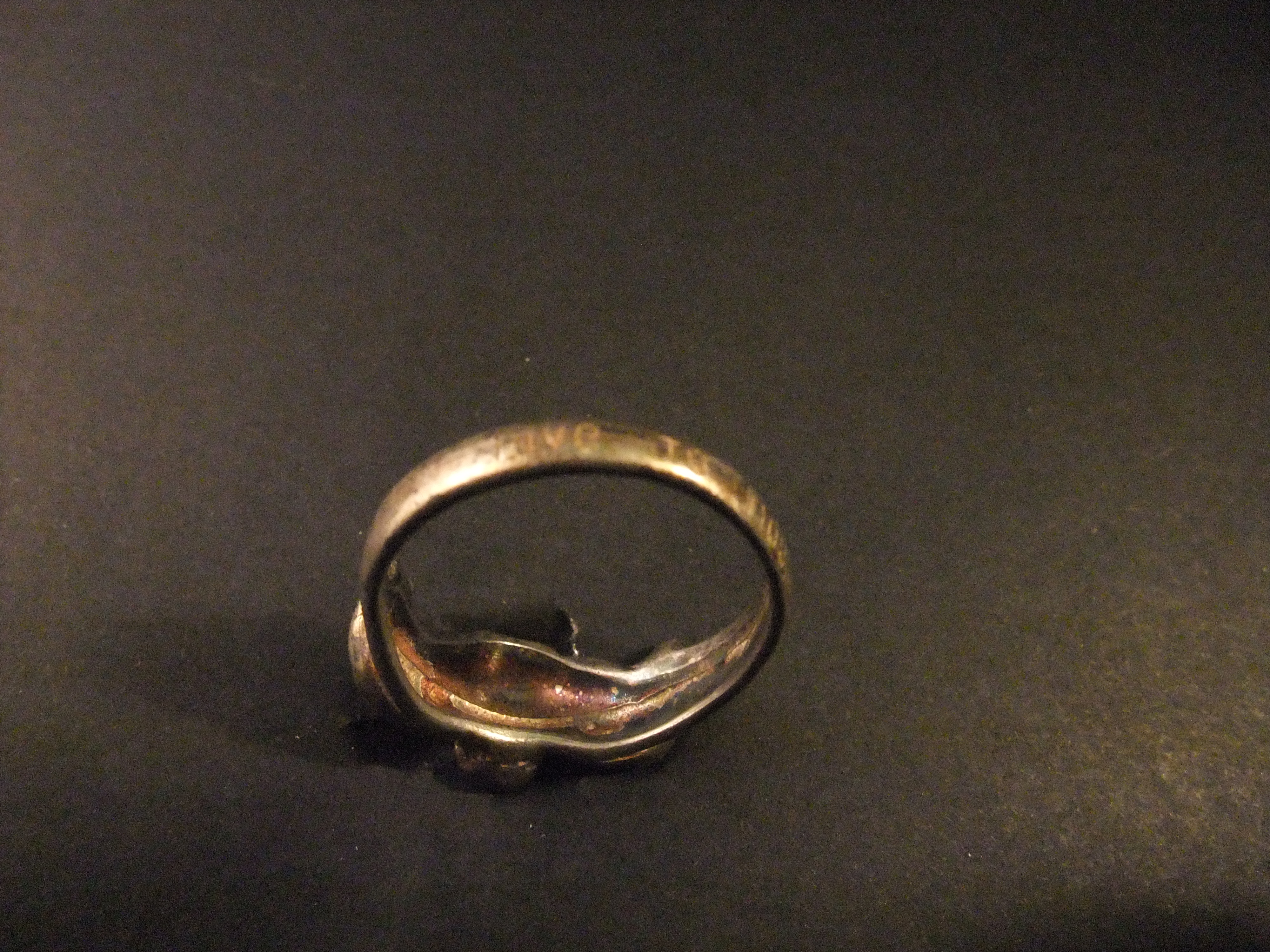Live to Ride, Ride to Live.motto of the Harley-Davidson,zilver-zilverkleurige ring (4)